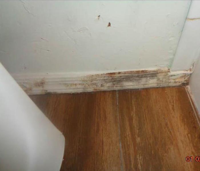 Mold growth on baseboards.