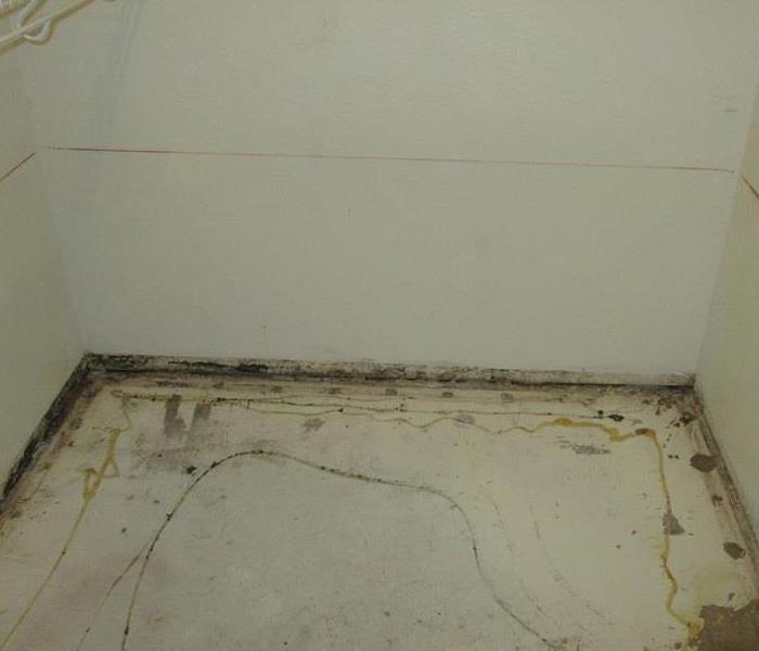 Inside of a walk in closet where the floors and baseboards are removed and the wall is covered in mold at the base 